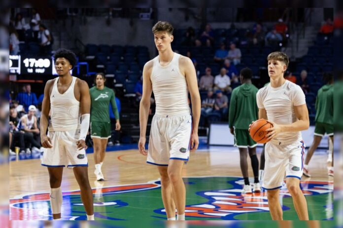 Florida Gators' 7-Foot-9 Freshman Olivier Rioux to Redshirt 2024-25 Season