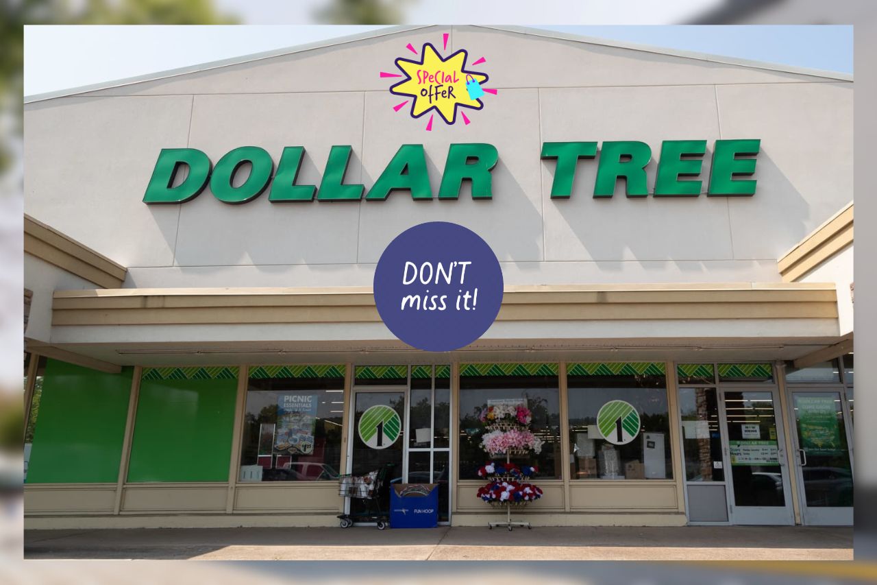 Shoppers Stunned by Dollar Tree's $1.25 Holiday Deals: Unbelievable Bargains Revealed