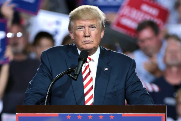 Trump's Mass Deportation Plan Faces Legal Hurdles as States Vow Resistance