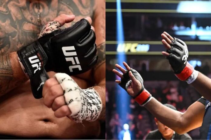 UFC Reverts to Previous Glove Design Ahead of UFC 309