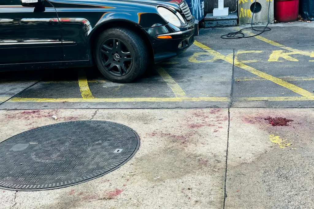 Brooklyn Chaos: Two Stabbings, a Failed Robbery, and a Heroic Save in a Day of Violence