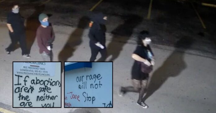 From Activism to Prison: The Florida Woman Behind Nighttime Attacks on Crisis Centers
