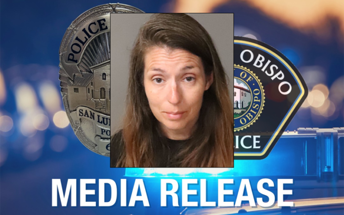 Hit-and-Run Horror: Oregon Driver Linked to Fatal San Luis Obispo Crash Faces Serious Charges