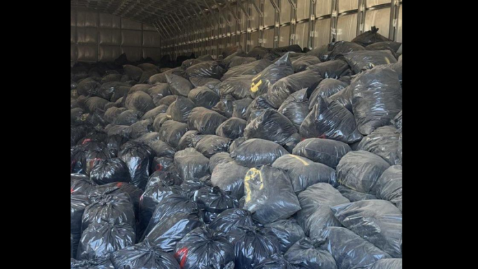Massive Drug Bust in Southern California Uncovers Over $100 Million in Marijuana