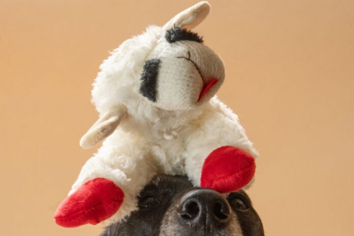 Meet Lamb Chop: The Dog Toy Every Pup Loves!