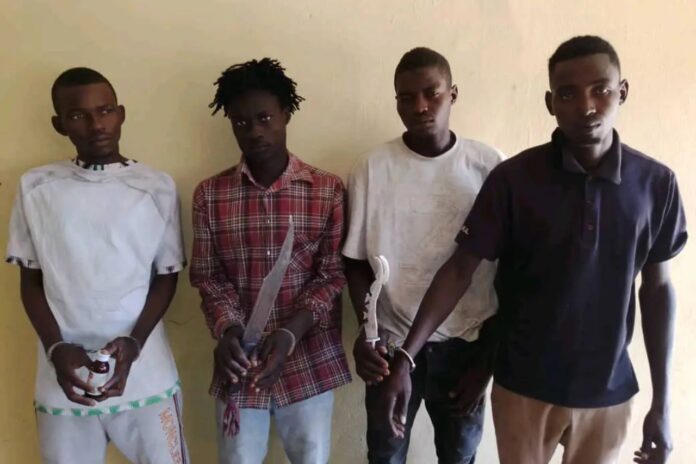 Police Bust Robbery Ring in Adamawa, Arrest Four Shila Boys