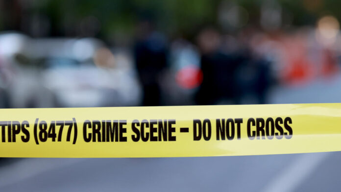Thanksgiving Nightmare: Bronx Man Steals Car with 7-Year-Old Inside – Here’s How Police Saved Him