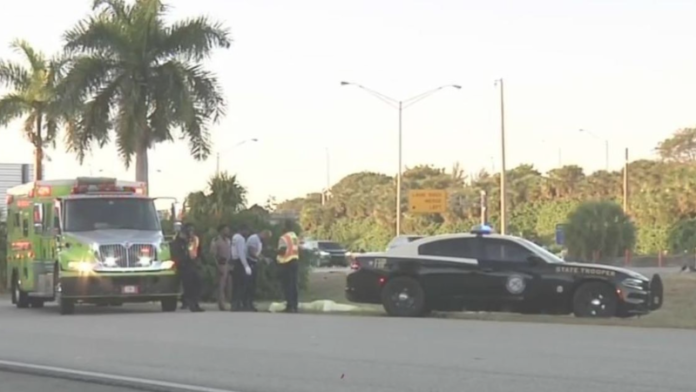 Young Woman Found Dead on I-95: Police Probe Chilling Roadside Mystery