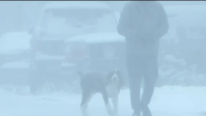 Deep South's Rare Winter Wonderland: Historic Snowfall Stuns the Nation