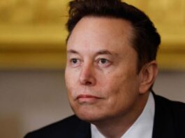 Elon Musk Nominated for Nobel Peace Prize: Find Out Who Made the Bold Move!