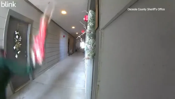 Florida Man’s Shocking Christmas Act of Cruelty Leaves Dog Fighting for Recovery