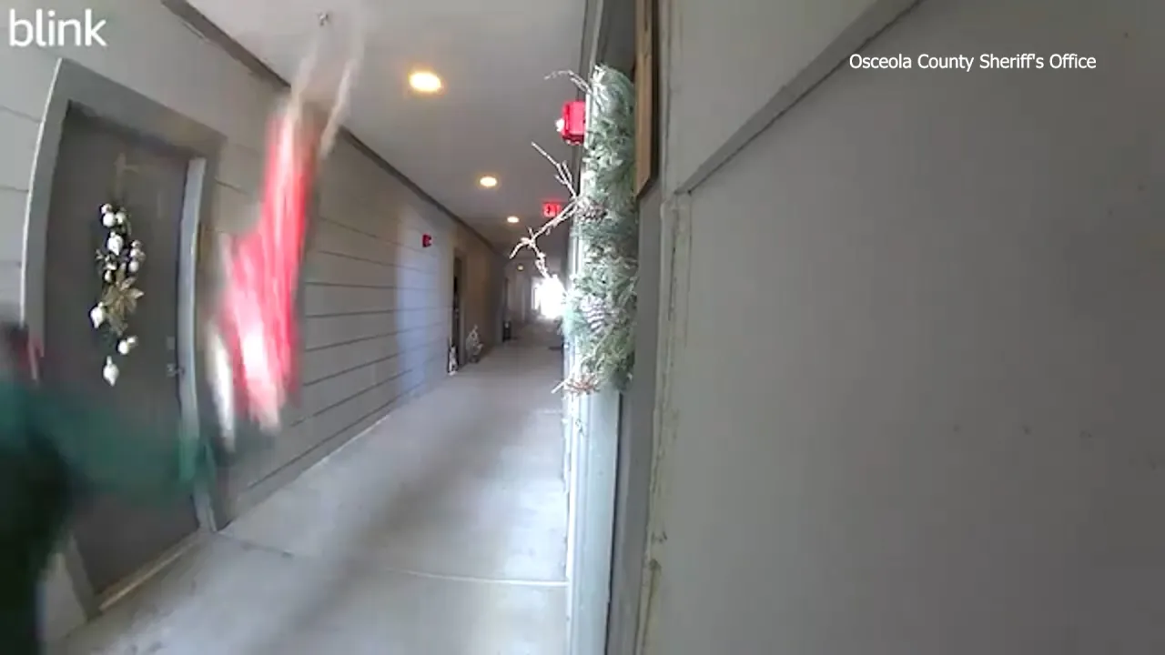 Florida Man’s Shocking Christmas Act of Cruelty Leaves Dog Fighting for Recovery