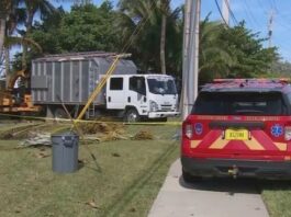 Florida Tree Trimmer Dies in Horrible Accident at City Hall