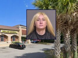 Florida Woman Arrested After Allegedly Stealing $2 Lighter and Attacking Pregnant Worker