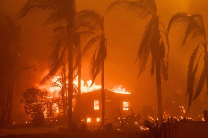 Lara Trump Slammed Online for Questioning Climate Change's Role in Devastating LA Fires