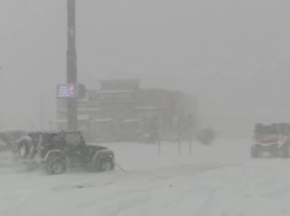 Rare Winter Fury: Blizzard Conditions Hit Louisiana and Texas