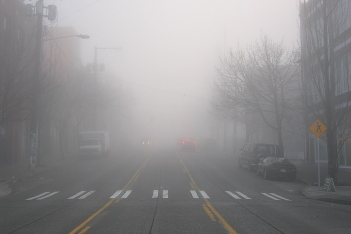 Seattle Wakes Up to Dense Fog: Will the Sun Break Through Today?