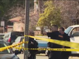 Tragedy Strikes Berkeley: Car Theft Escalates into Triple Stabbing