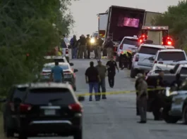 Tragedy on the Border: Texas Truck Driver Admits Role in Deadly Migrant Smuggling