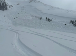 Tragic Avalanche Claims Life of Experienced Colorado Skier and Former Mountain Rescue Team Member