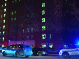 Tragic Stabbing in Chicago's South Loop Leaves One Dead, One Seriously Injured