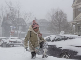 US Faces Deep Freeze and Snowstorm Chaos as Brutal Storm Hits South