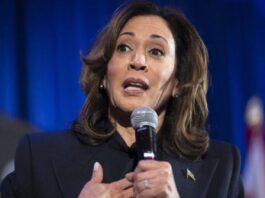 Vice President Harris at a Crossroads: Key Decisions Ahead for Her Political Future