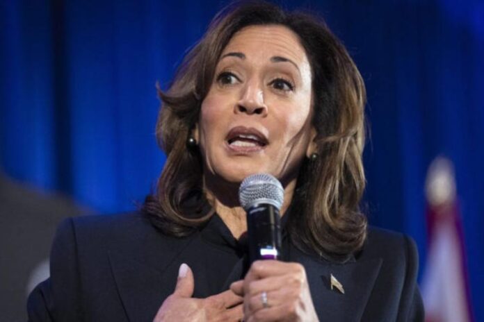 Vice President Harris at a Crossroads: Key Decisions Ahead for Her Political Future