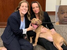 Georgia Man Gets Record-Breaking 475-Year Sentence After Shocking Dogfighting Bust