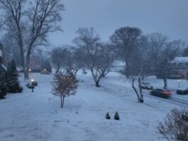 Icy Chaos: Snow and Freezing Rain Hammer the Mid-Atlantic