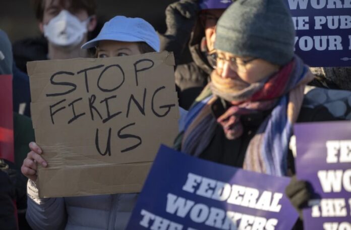 Job Crisis! Federal Workers React to Sudden Mass Layoffs
