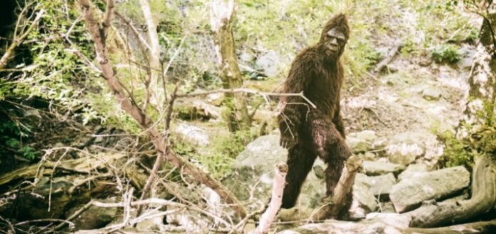 Legendary! California Pushes to Make Bigfoot the Official Cryptid