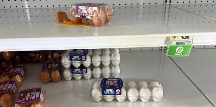 Shocking Egg Price Hike – Bird Flu Causes Cost Surge!