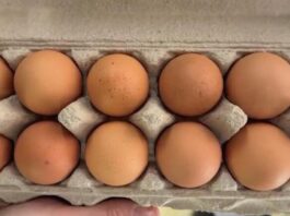 Shocking: Eggs Now Cost $4.95, Prices Set to Rise More!