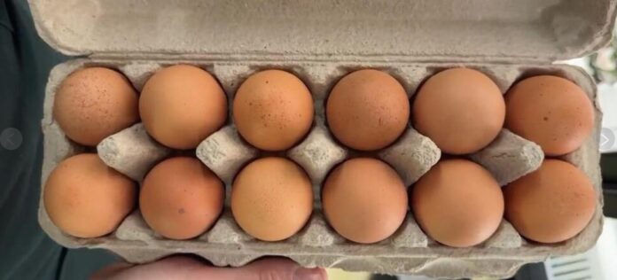 Shocking: Eggs Now Cost $4.95, Prices Set to Rise More!