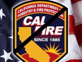 Tragic! California Fire Captain Stabbed in Her Own Home