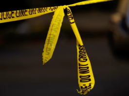 Tragic Shooting: 1 Killed, 1 Hurt in Woodlawn