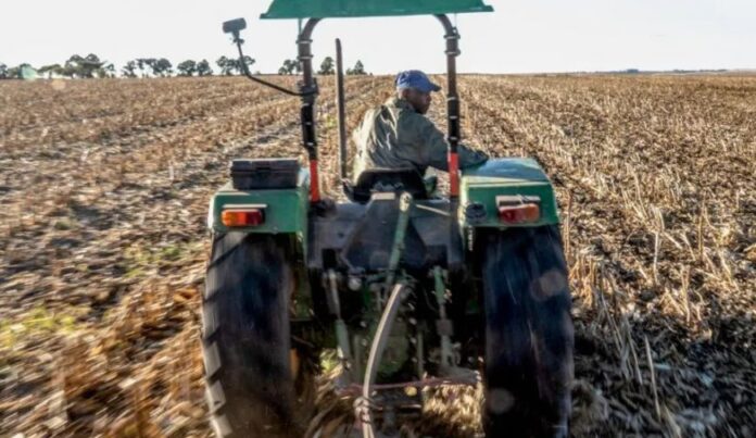 Trump's Bold Move: Funding at Risk Over South Africa's Land Policy