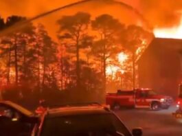 South Carolina in Crisis: Wildfires Tear Through 1,200 Acres!