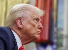 Trump’s Unclear Plans for the Department of Education