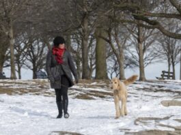 Winter Surprise: Chicago Sees Record-Low Snowfall in 88 Years!